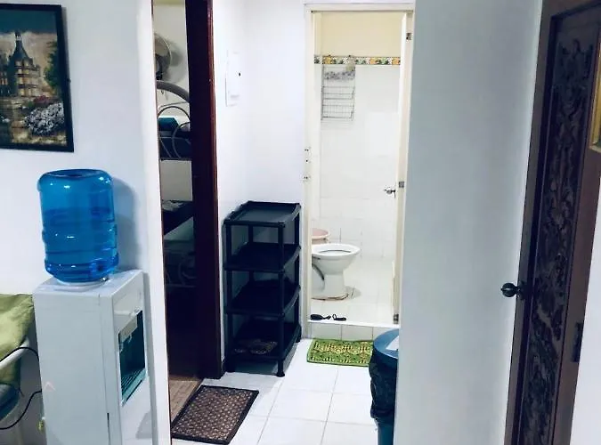 The Mansion - Backpackers Near Airport *