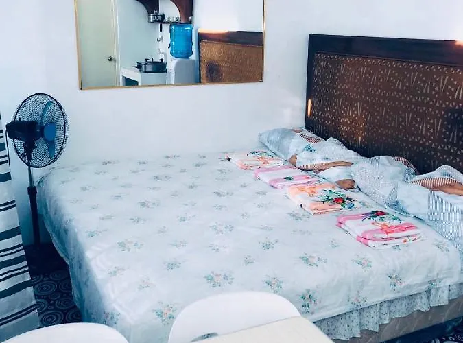 Appartamento The Mansion - Backpackers Near Airport