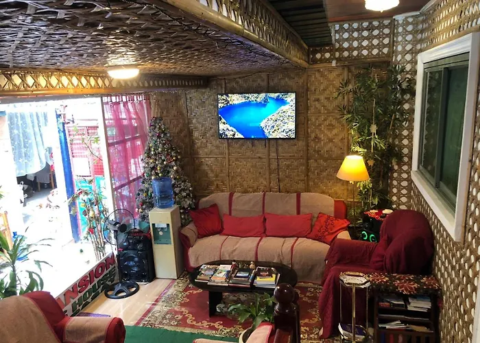 The Mansion - Backpackers Near Airport