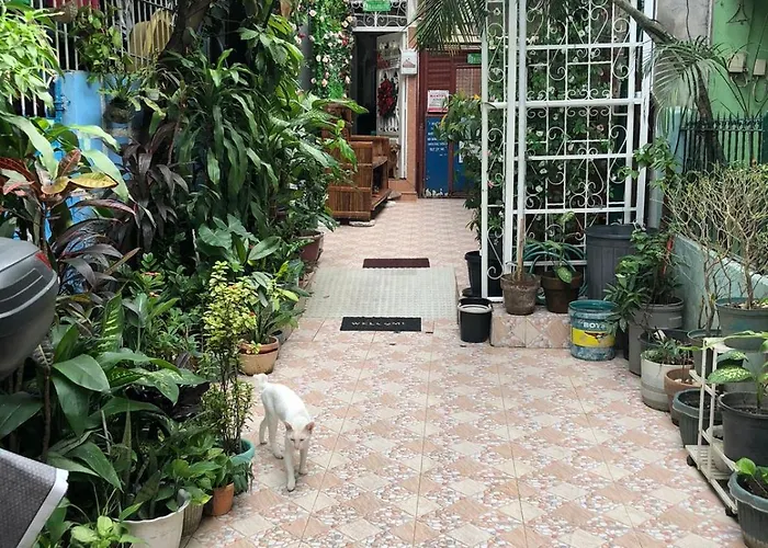 The Mansion - Backpackers Near Airport *